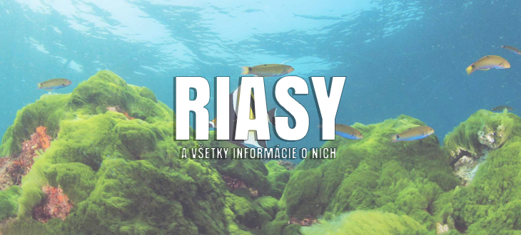 Všetko o riasach